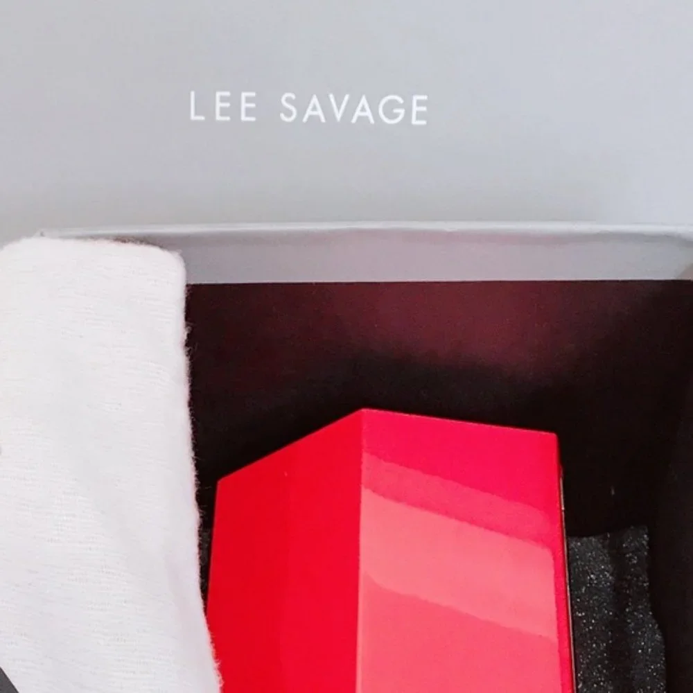 NWT LEE SAVAGE Infinite Space Clutch